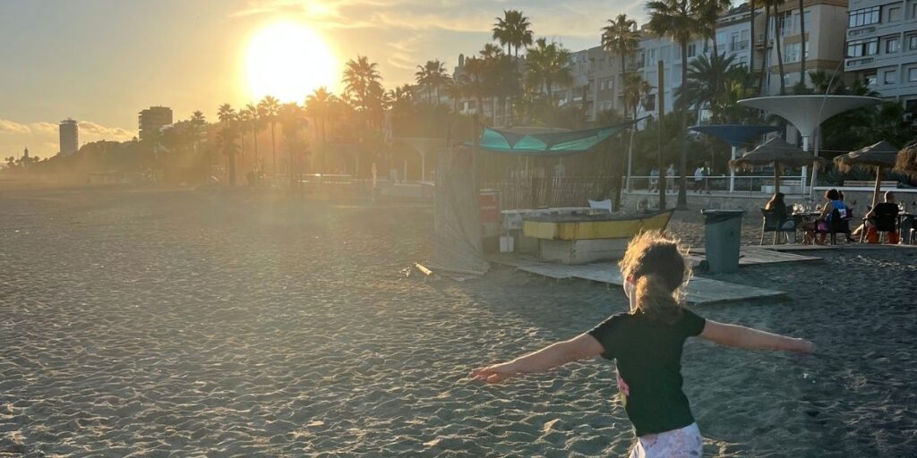 Sunset beach with palm trees