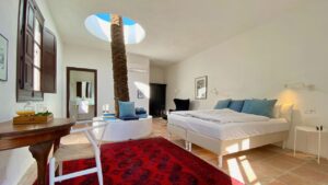 Habitación interior con una palmera.