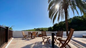 Terraza con una palmera y una mesa