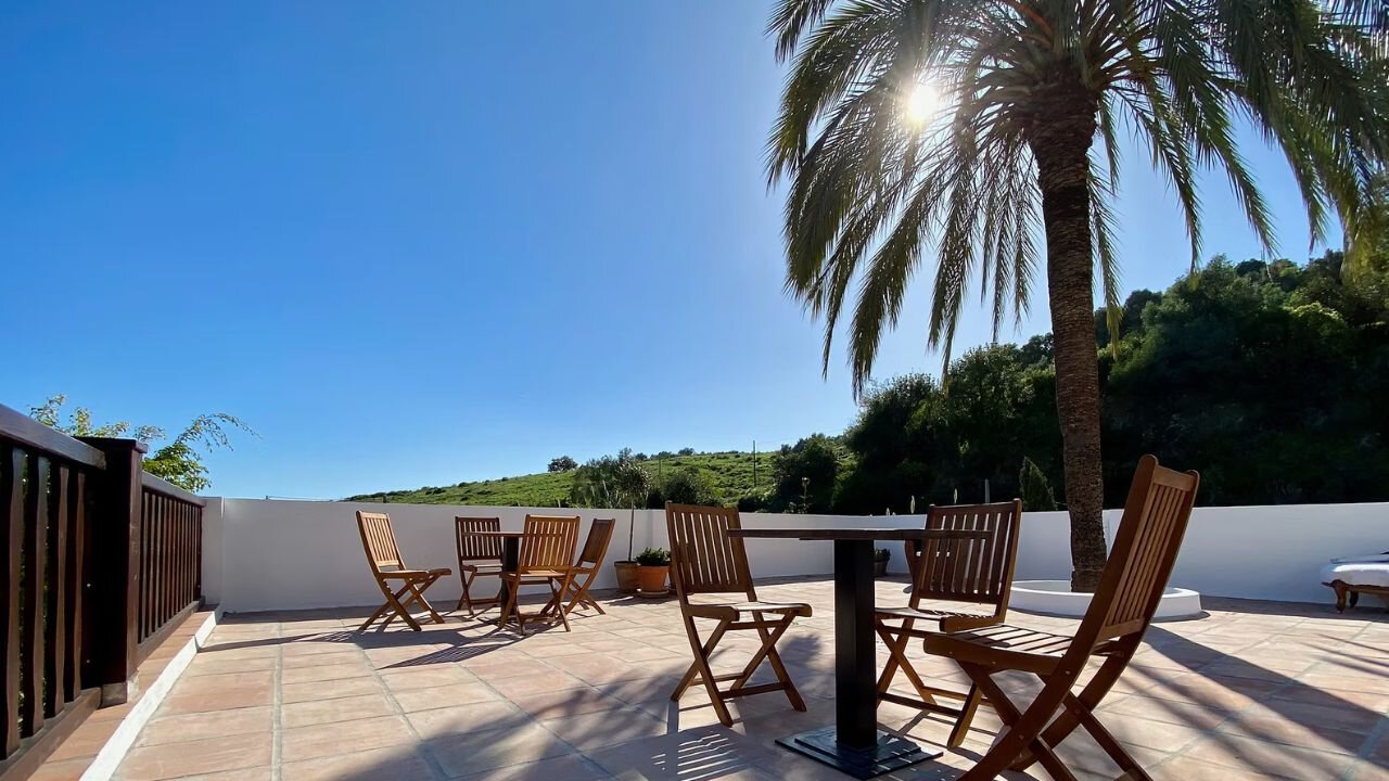 Terrace with palm tree and table