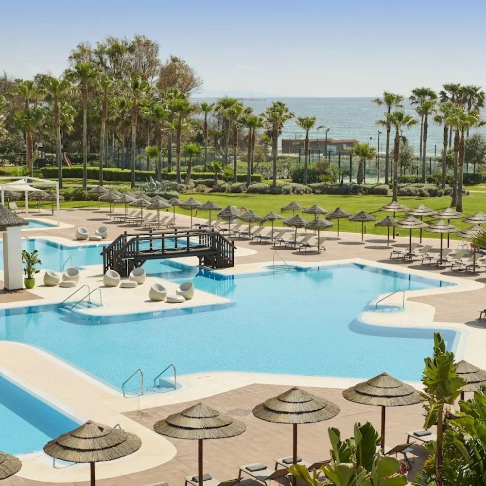 Resort swimming pool with palm trees