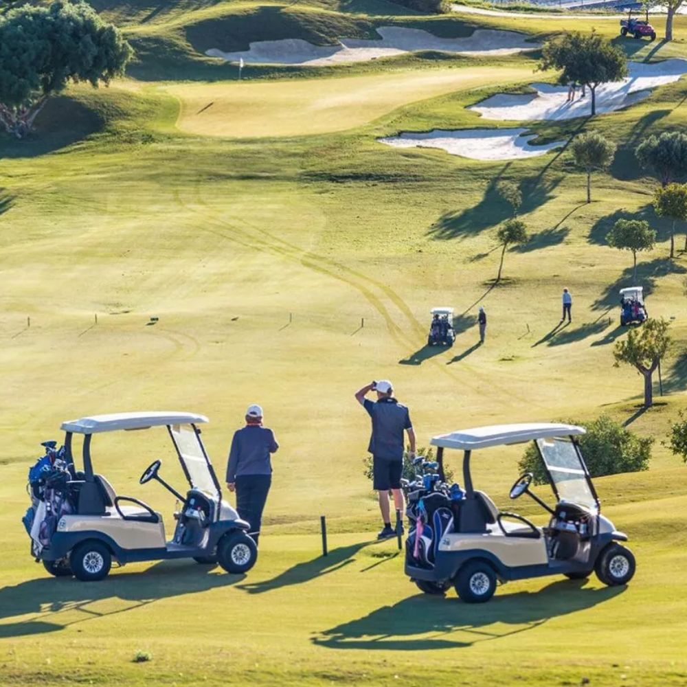 Golf carts on green course.