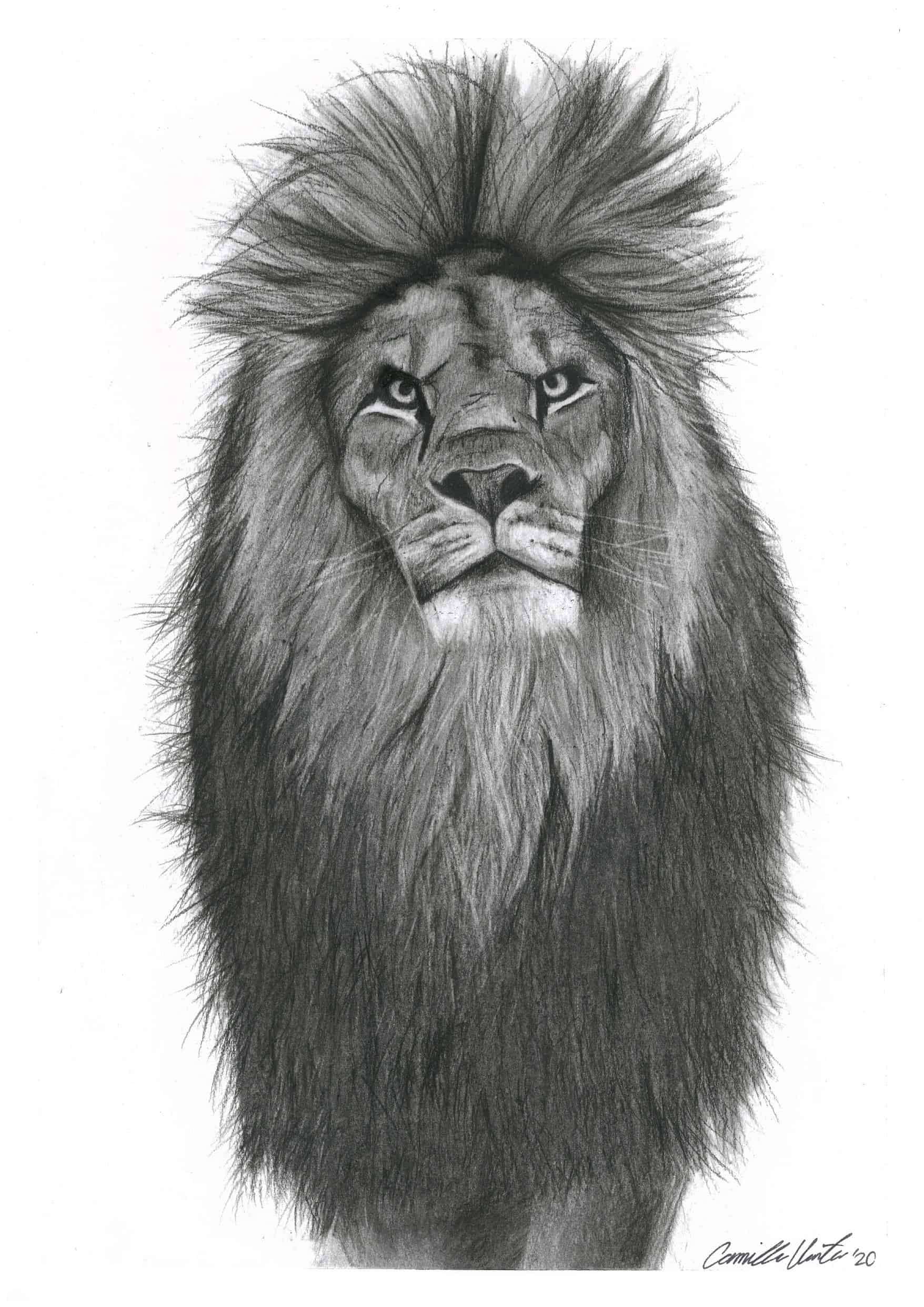 African King - Image 3