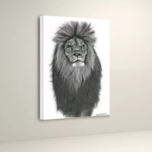 African King