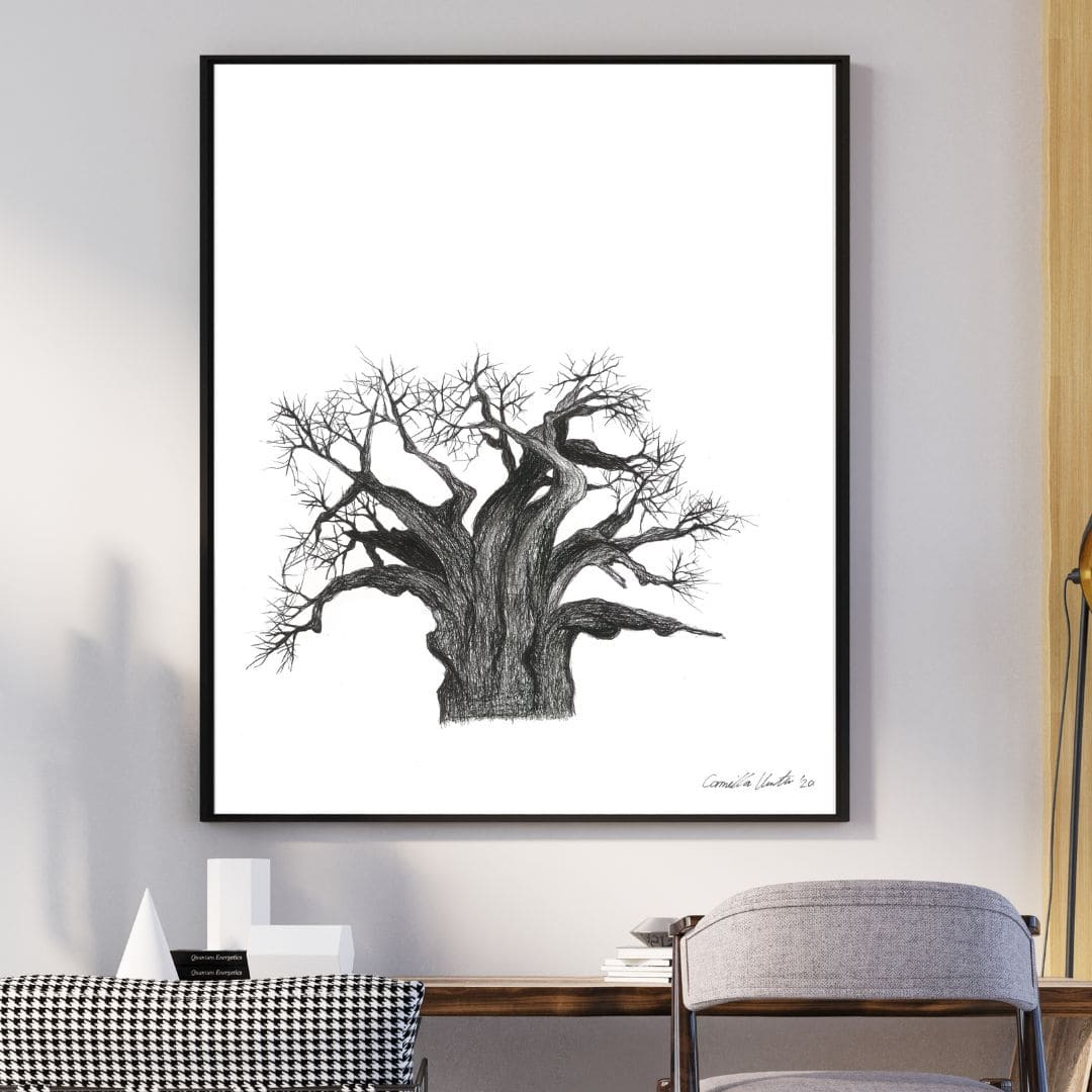 Baobab - Image 2