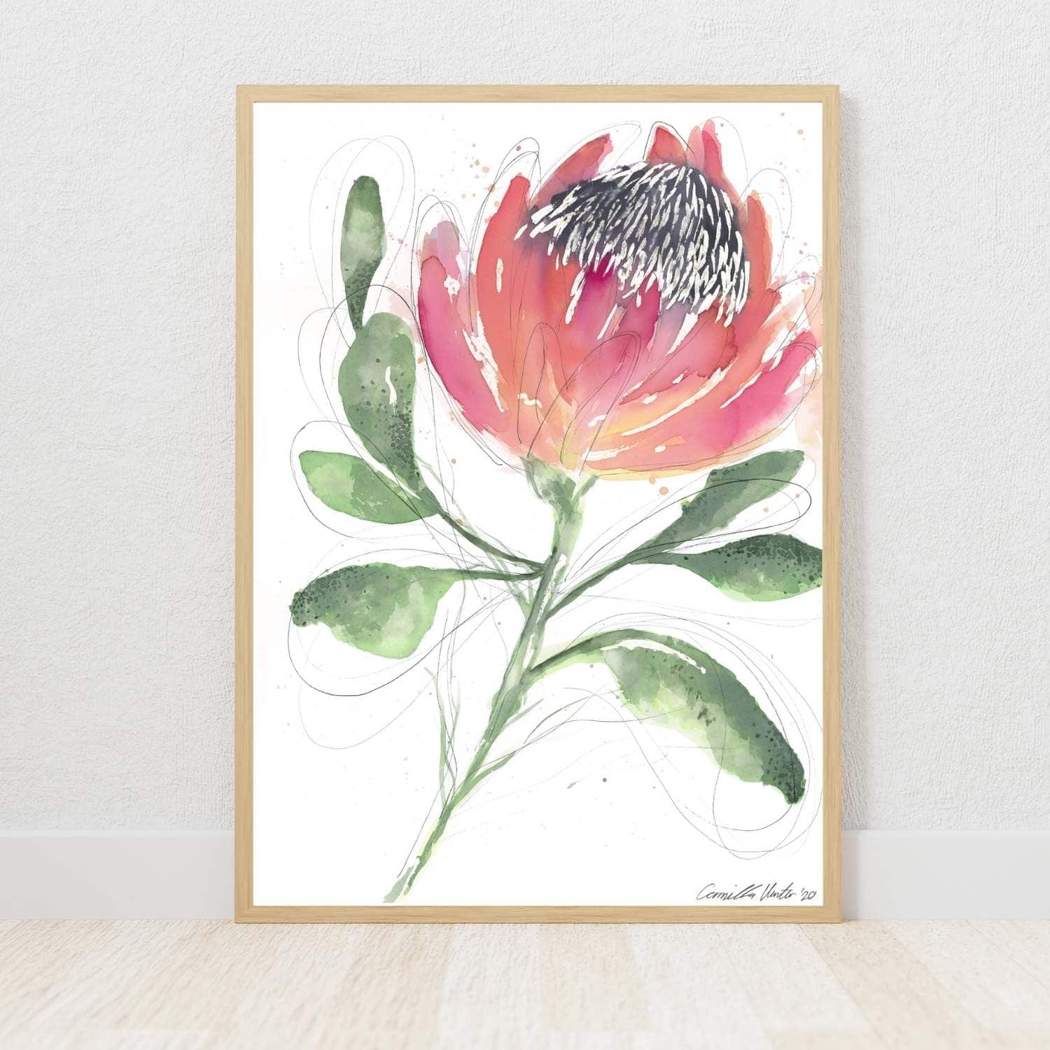 King Protea Print