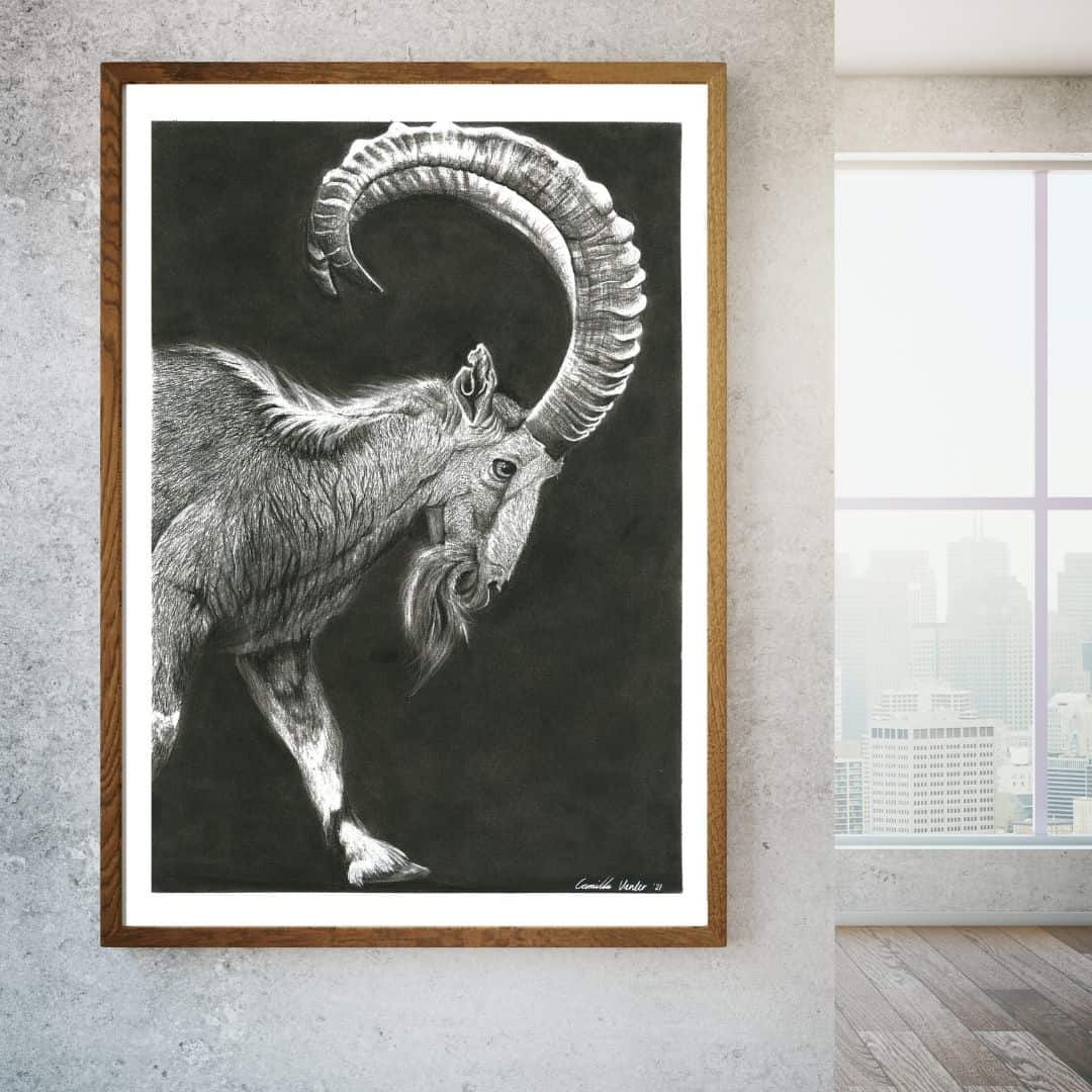 Mountain Goat - Image 2