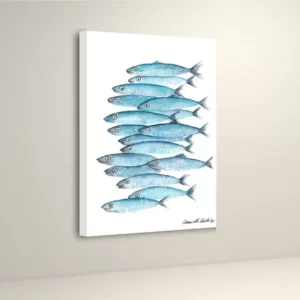 What the Anchovy