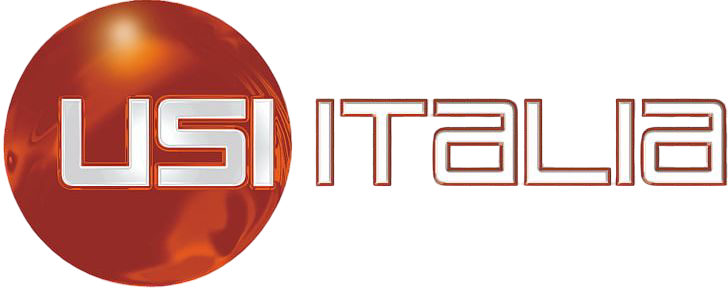 European Autoworks logo with USI Italia branding and orange globe design.