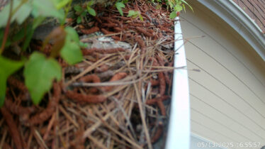 Close-up of gutter with mulch and plant debris for clog prevention.