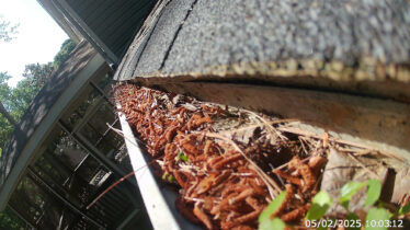 An up-close view of a clogged gutter filled with leaves and debris showing the importance of professional gutter cleaning.