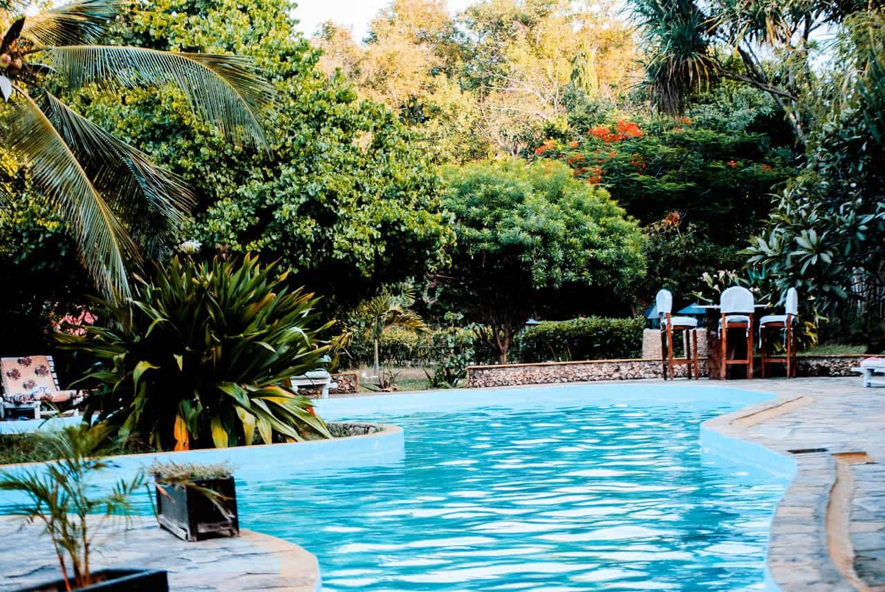 our-story A serene poolside oasis surrounded by lush greenery, perfect for relaxation and leisure.