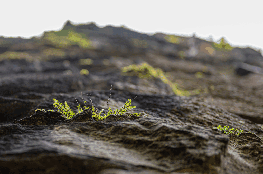 foundation helical anchors