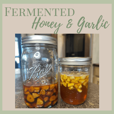 Fermented Honey Garlic