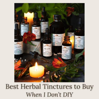 Best Herbal Tinctures to Buy (And When I Don’t DIY)