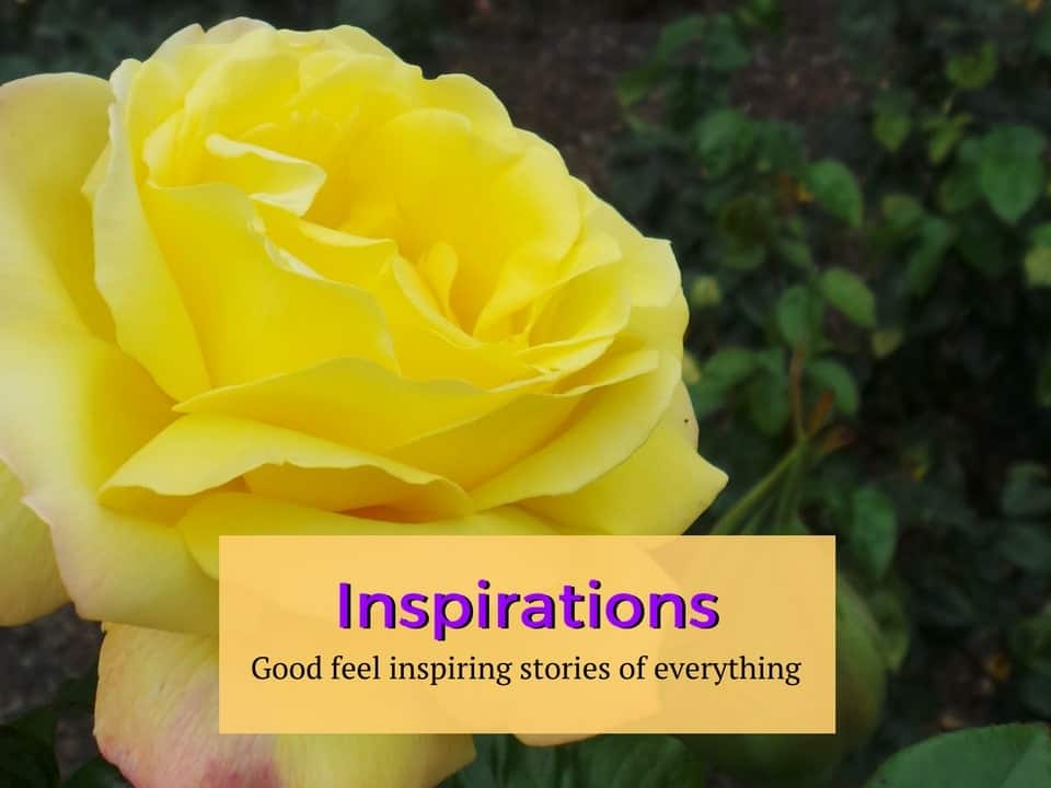 Inspirations category of everything zany