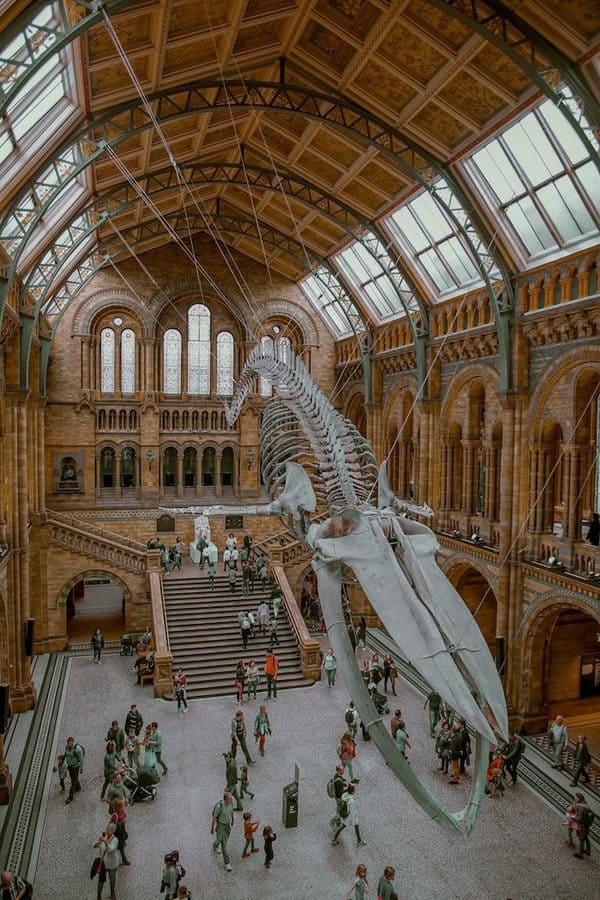Natural History Museum