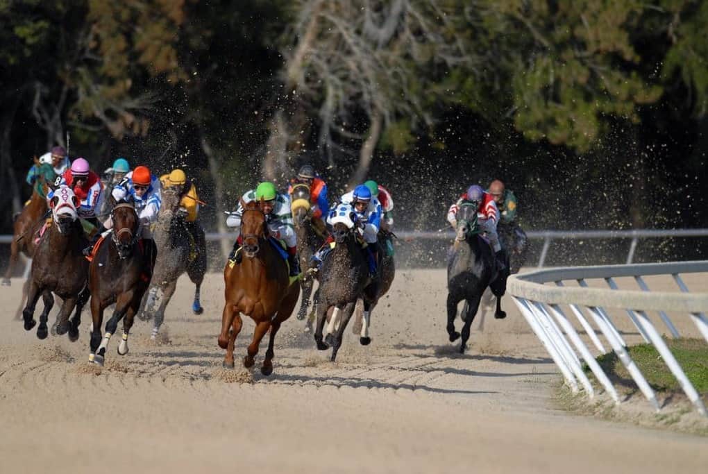 Horse Racing British Traditions