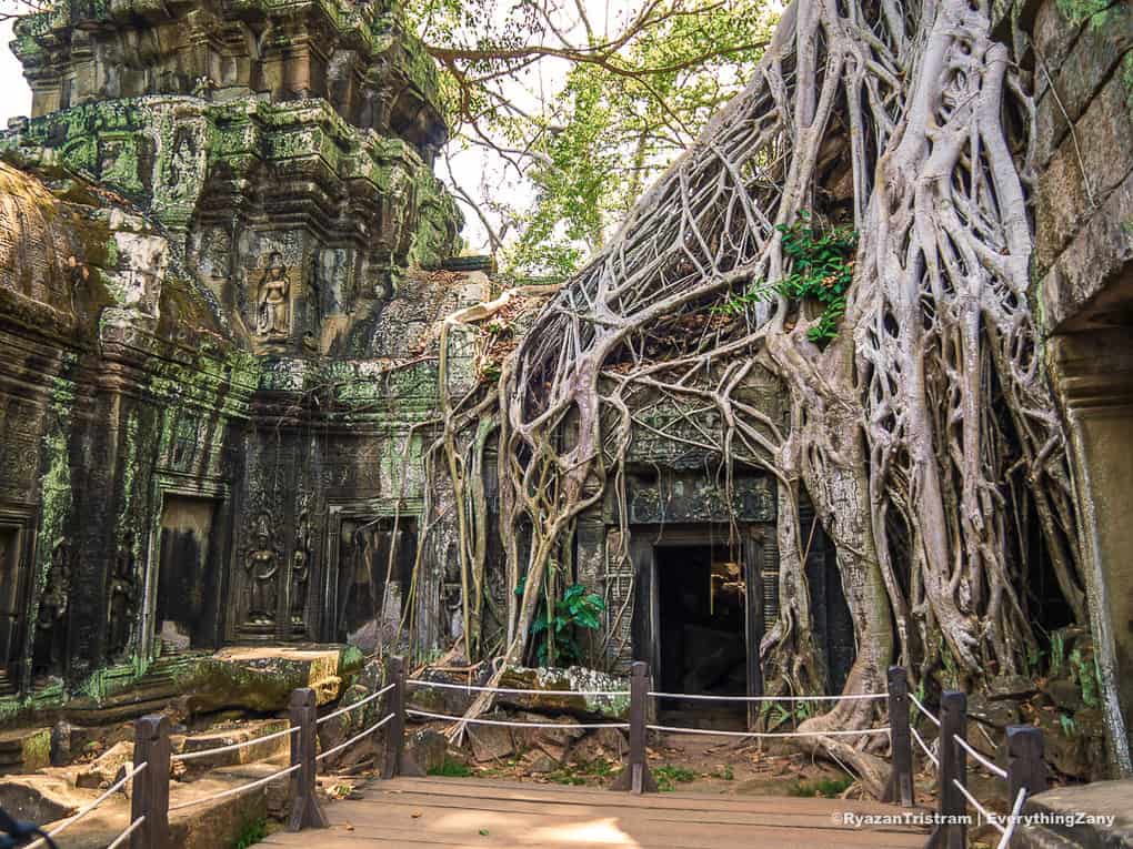 Ta Prohm Temple in Angkor Siem Reap