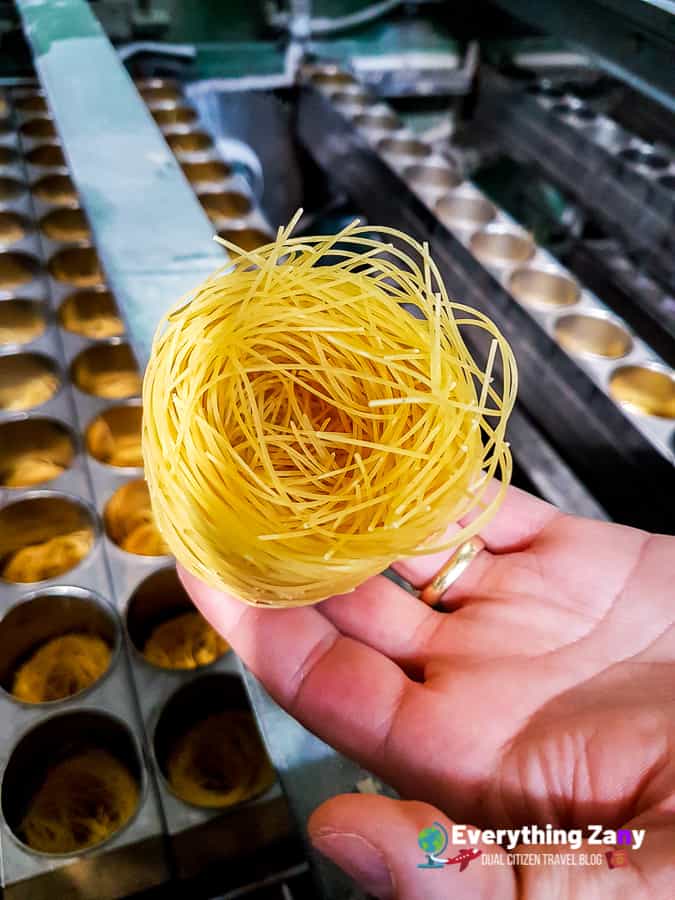 Nest pasta delverde abruzzo italy