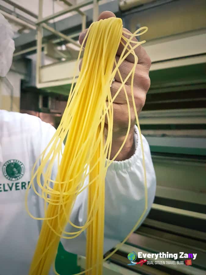 How pasta is made?: what is pasta made of delverde pasta in abruzzo italy