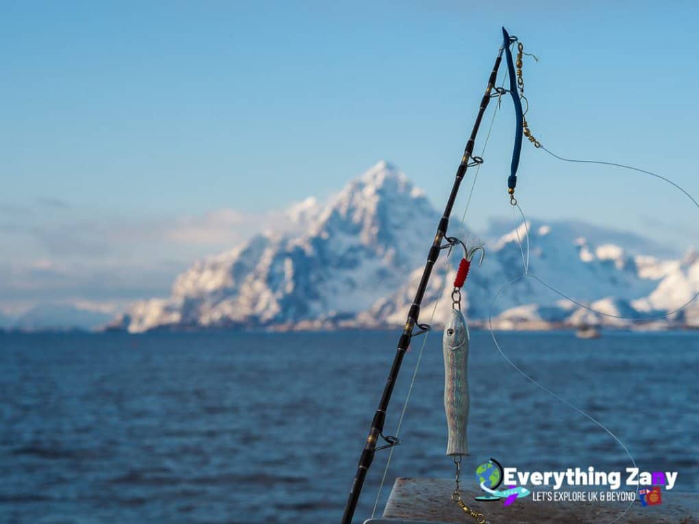 Fishing excursion in Lofoten