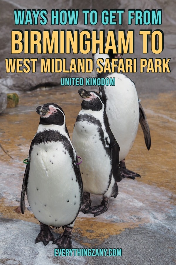 Ways How to Get From Birmingham to West Midland Safari Park UK pin