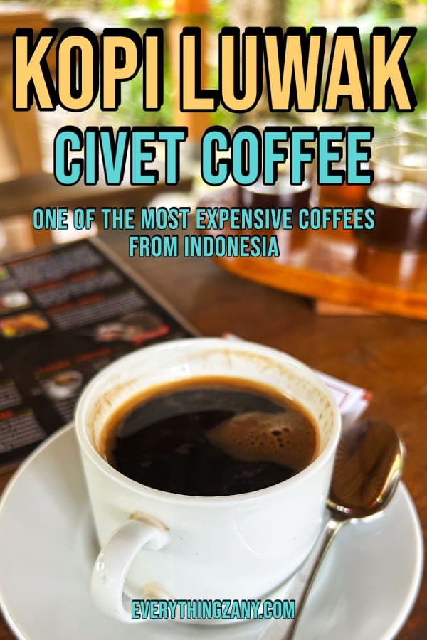 Kopi Luwak Civet Coffee One of the Most Expensive Coffees from Indonesia pin