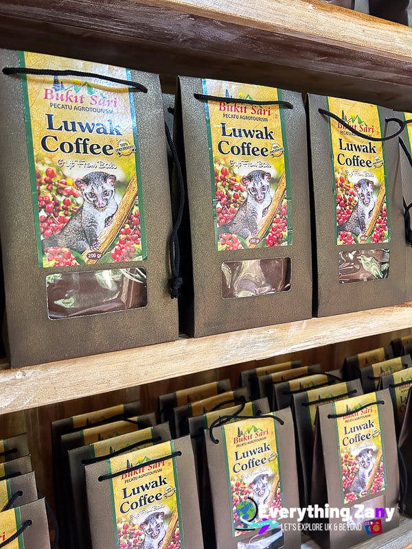Kopi Luwak Civet Coffee