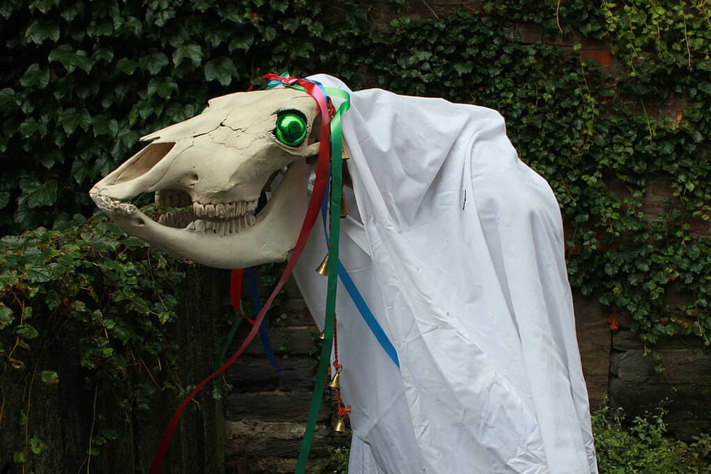 Welsh Traditions: Mari Lwyd in Welsh Tradition on New Years Eve