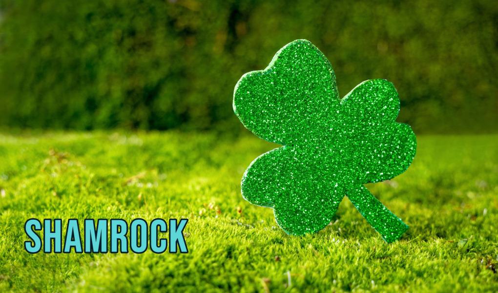 Shamrock of Saint Patrick