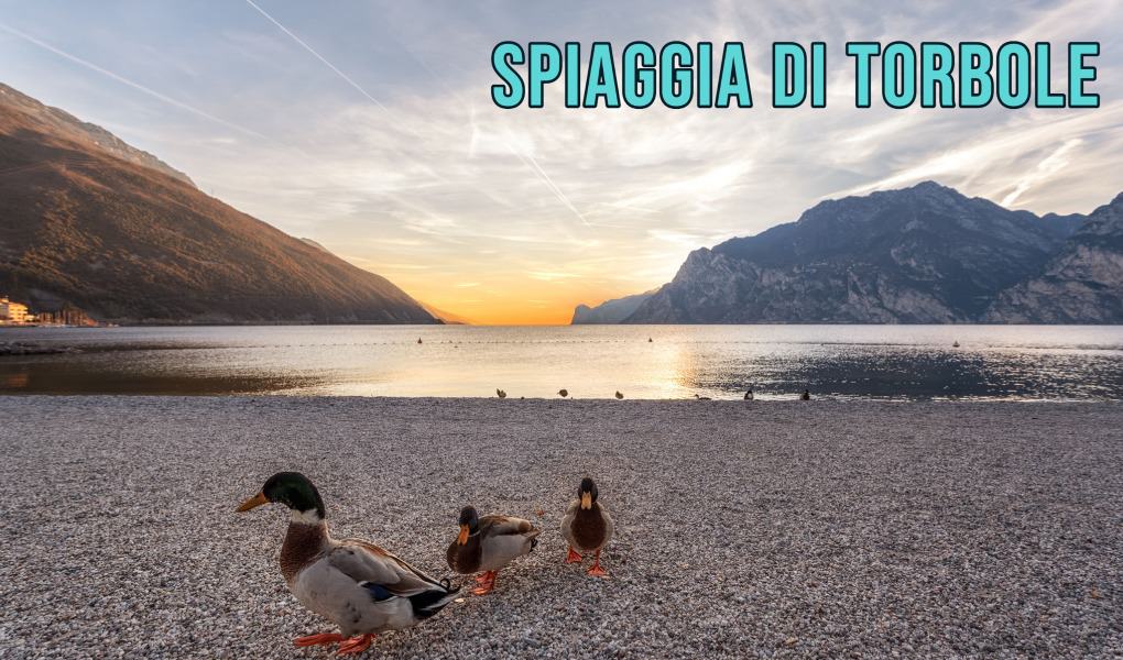 Best Lake Garda Beaches: Spiaggia di Torbole in Lake Garda in Italy