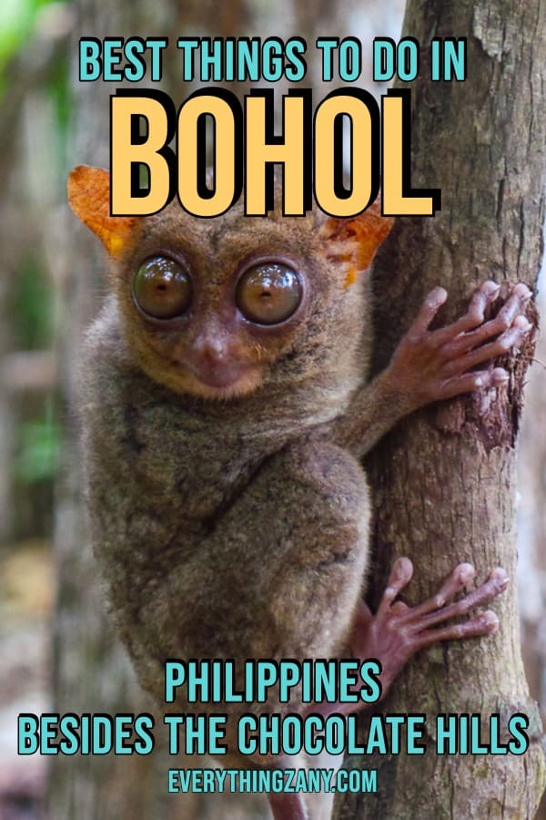 Best Things to Do in Bohol Philippines Besides the Chocolate Hills pin