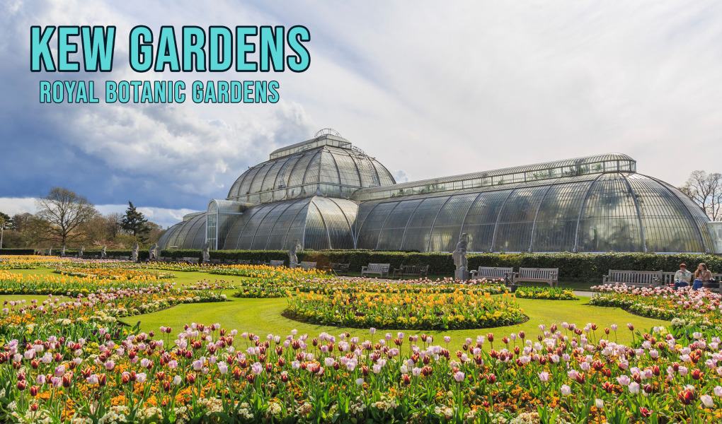 Ways How to Get From London to Kew Gardens in London UK