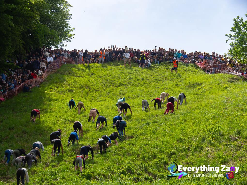 Cheese Rolling Uphill Races