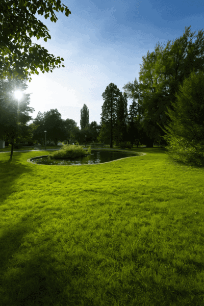 Volksgarten Graz: A green oasis with history and diversity