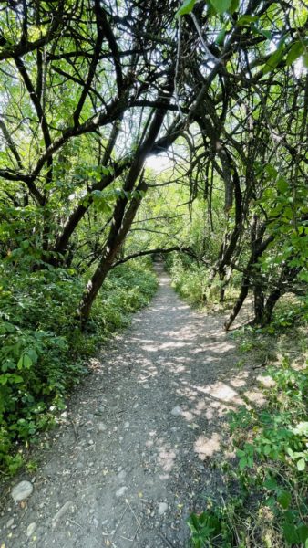 Graz Murauen: Natural idyll along the river in the heart of the city