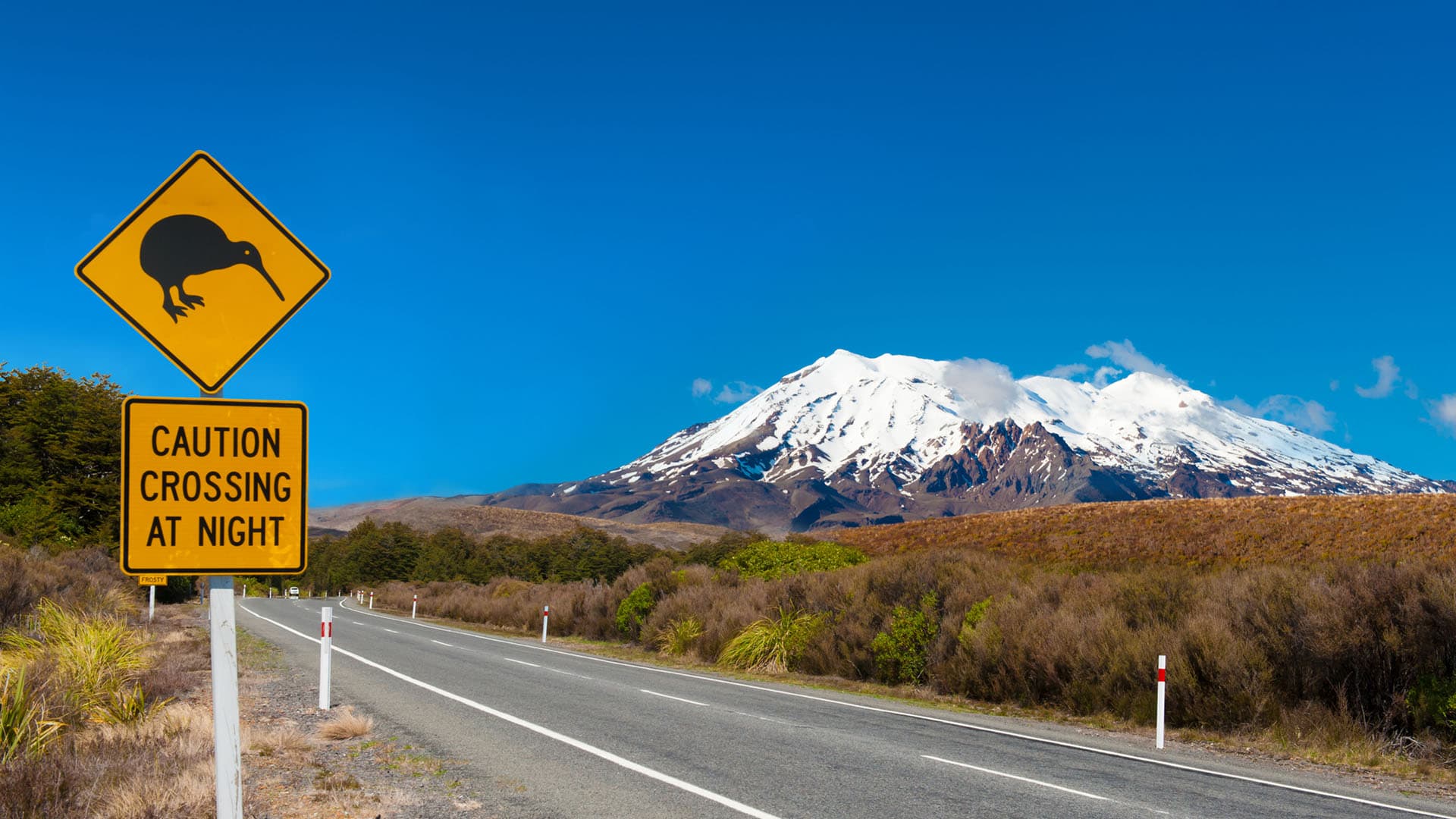 Has New Zealand Ever Held A Formula 1 Race? Has New Zealand Ever Held A Formula 1 Race?