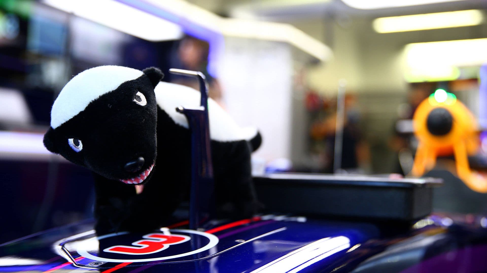 Why Is Daniel Ricciardo Called The Honey Badger