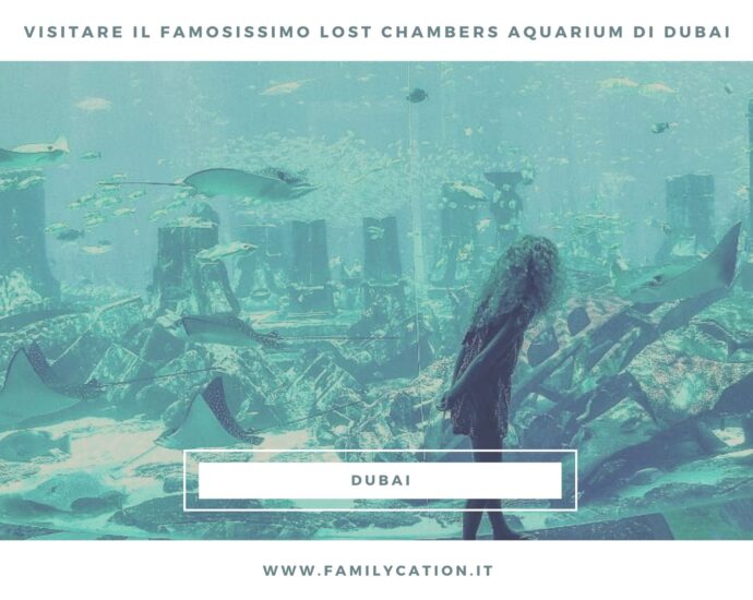 acquario dubai quale vedere