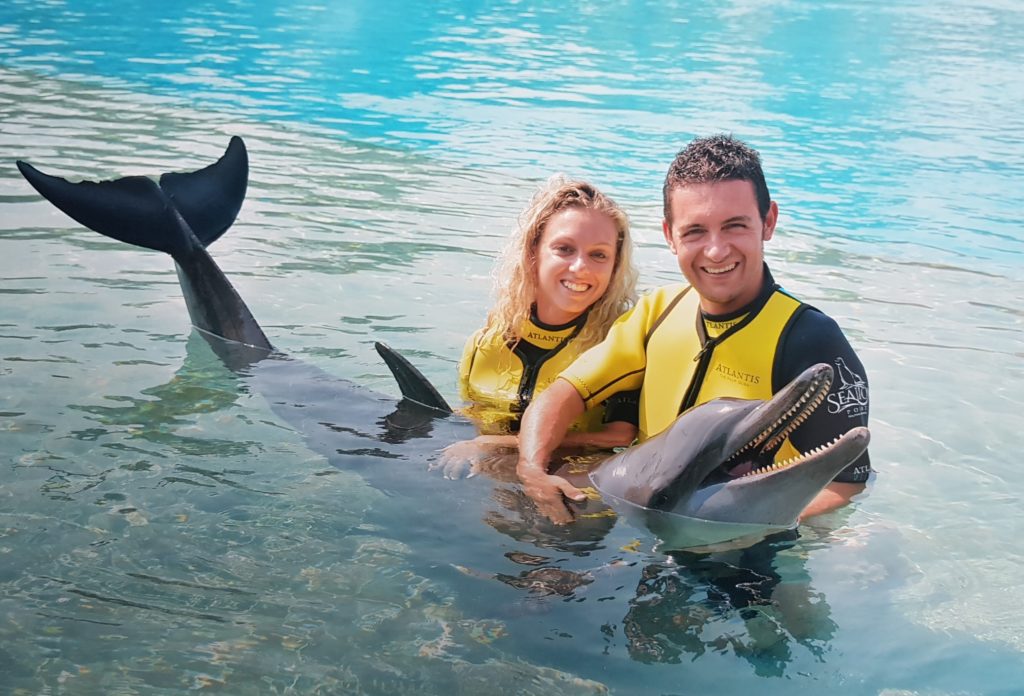 cosa fare a dubai con bambini nuotare con delfini dubai