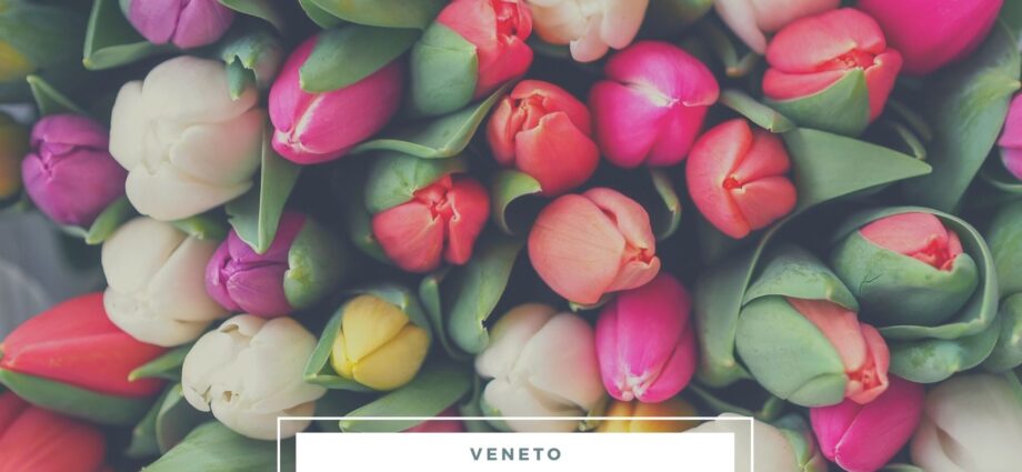 parco giardino sigurtà con bambini