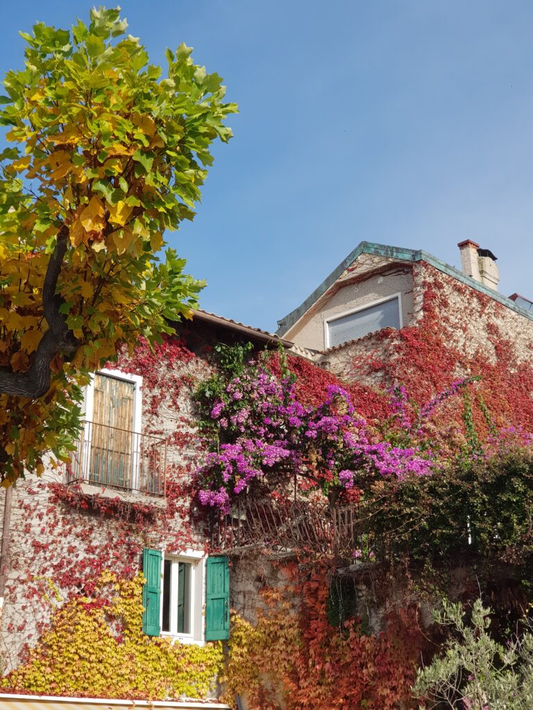 torri del benaco con bambini foliage lago di garda
