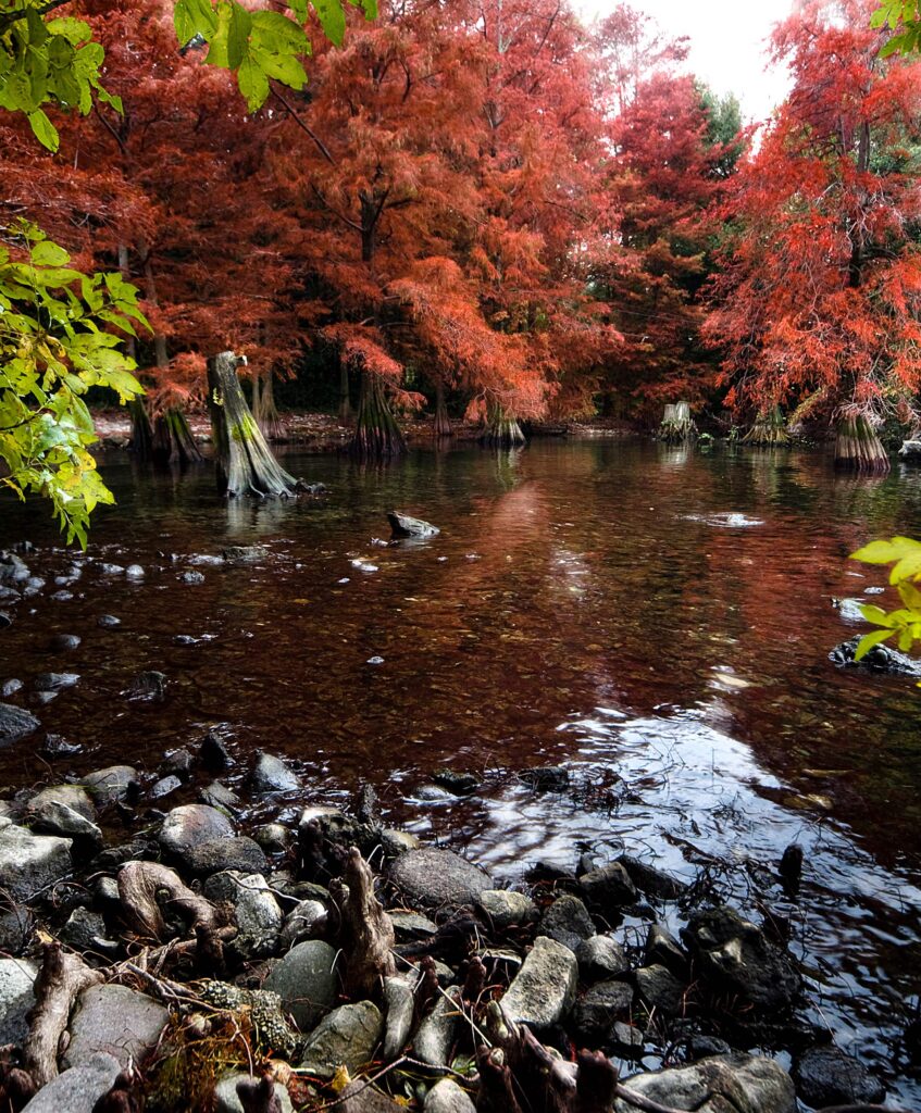 foliage lago di garda
