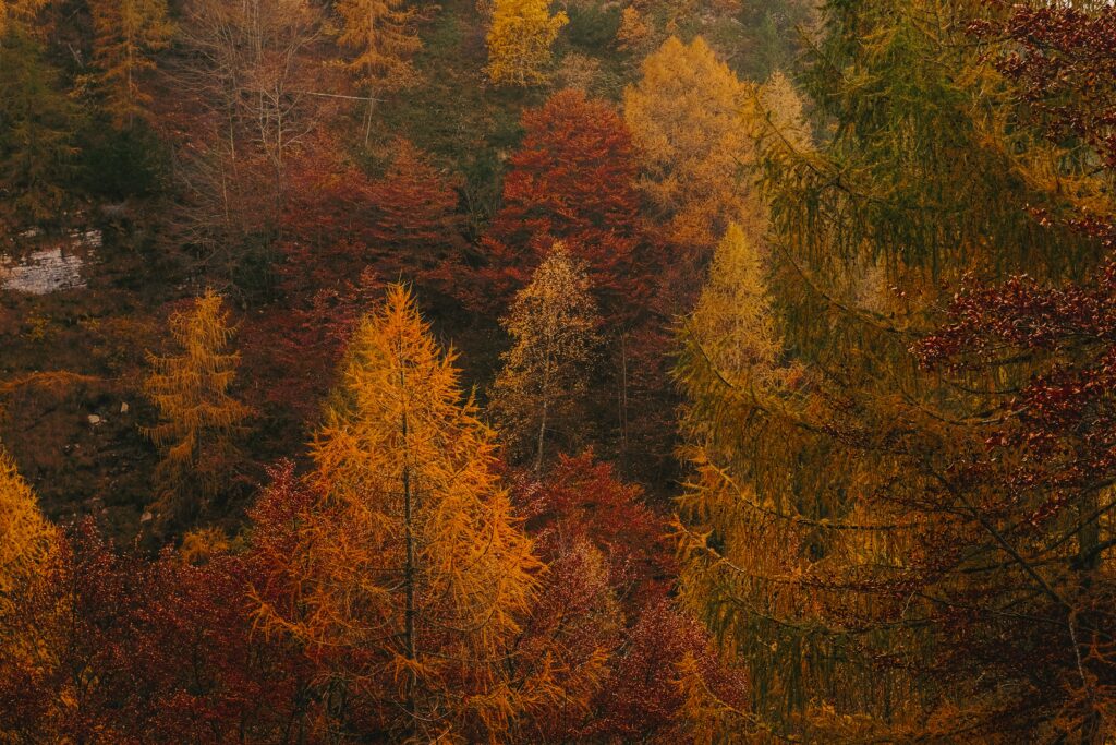 lago di garda con bambini in autunno