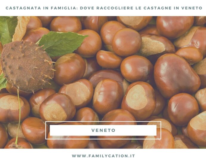 dove raccogliere castagne in veneto