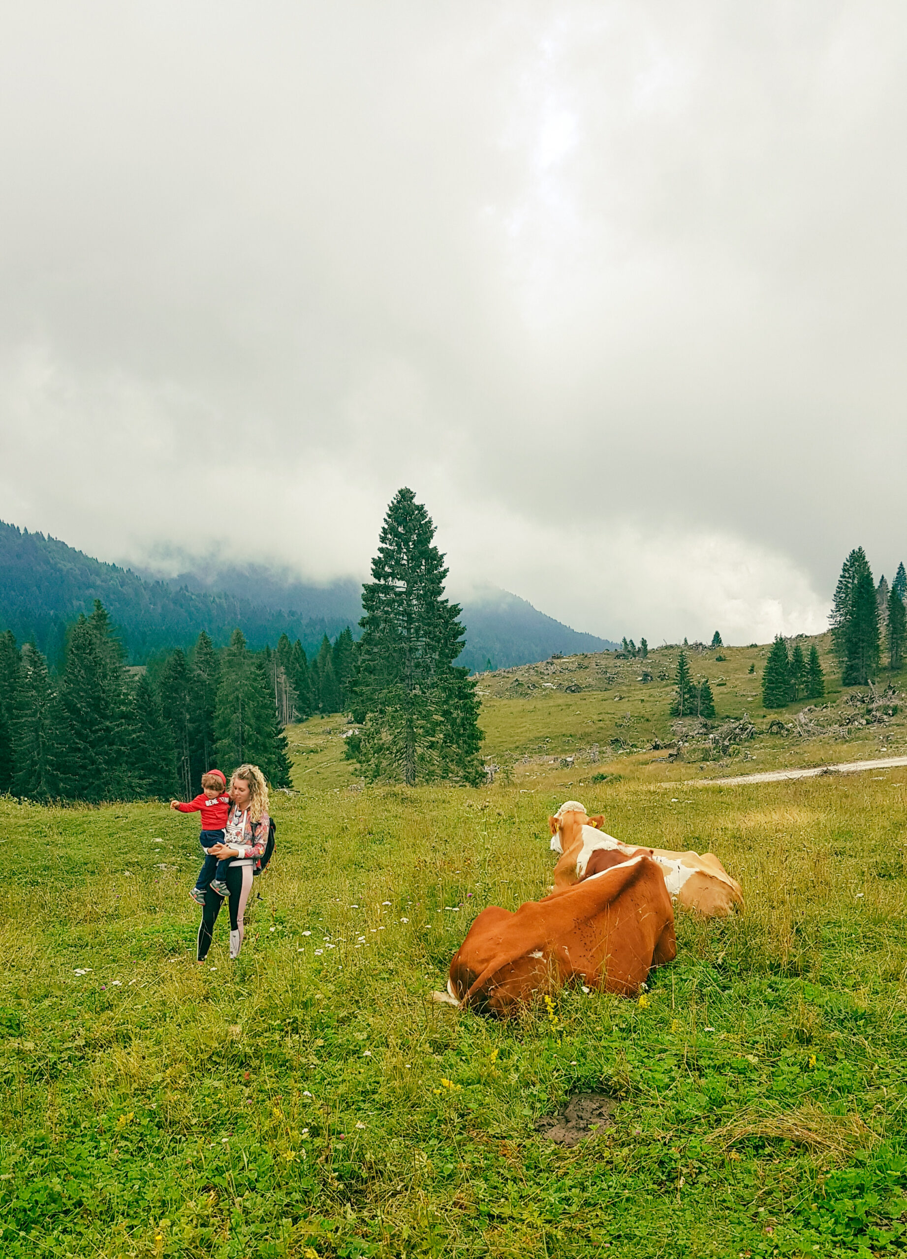 folgaria pascoli passo coe folgaria escursioni con bambini