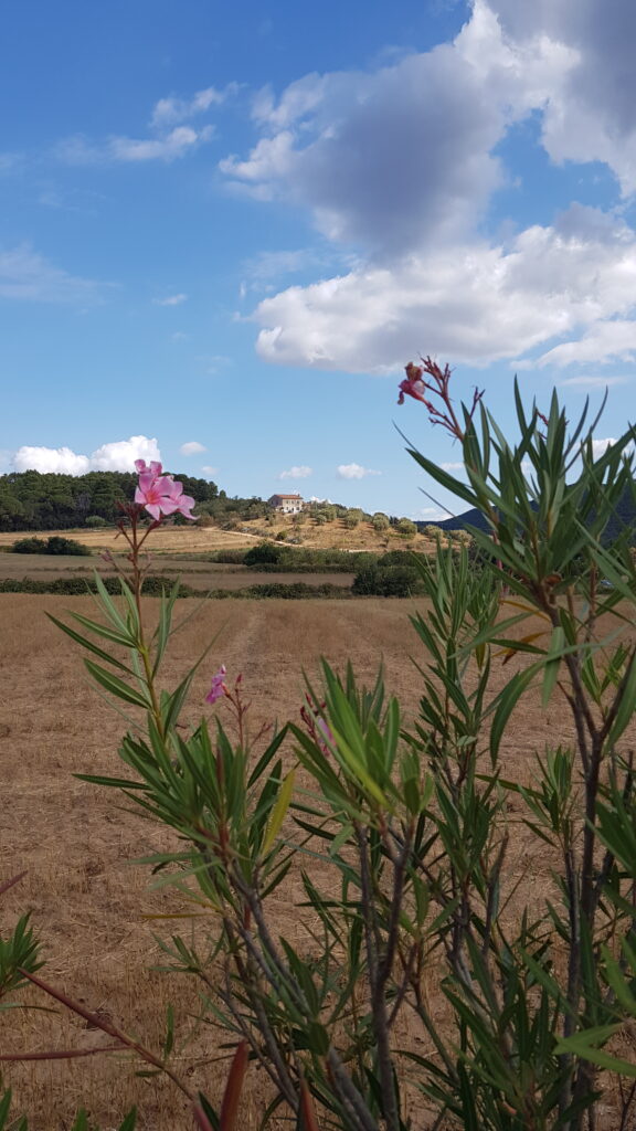 come arrivare a cala violina
