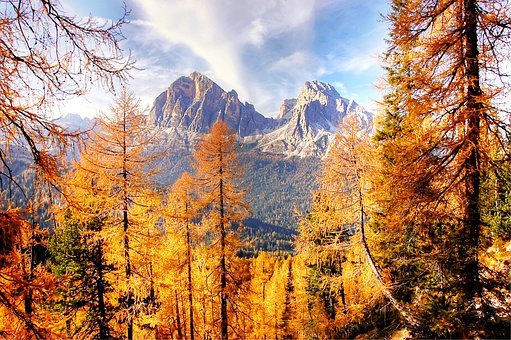 dove vedere il foliage in veneto foliage nord italia