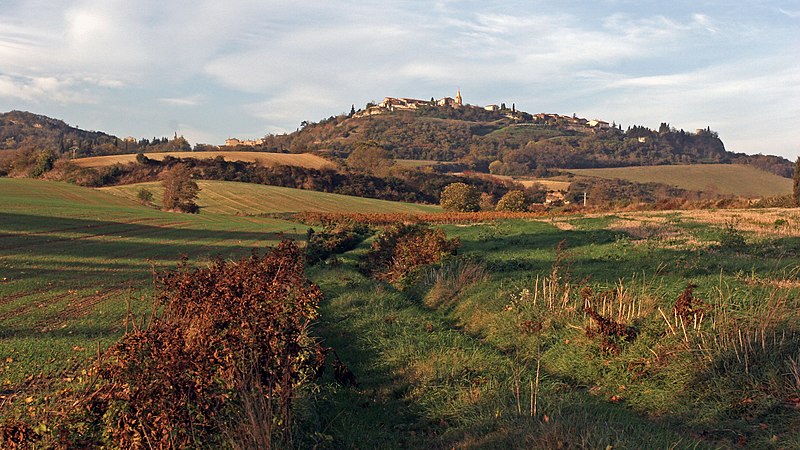 foliage emilia romagna gita colli piacentini